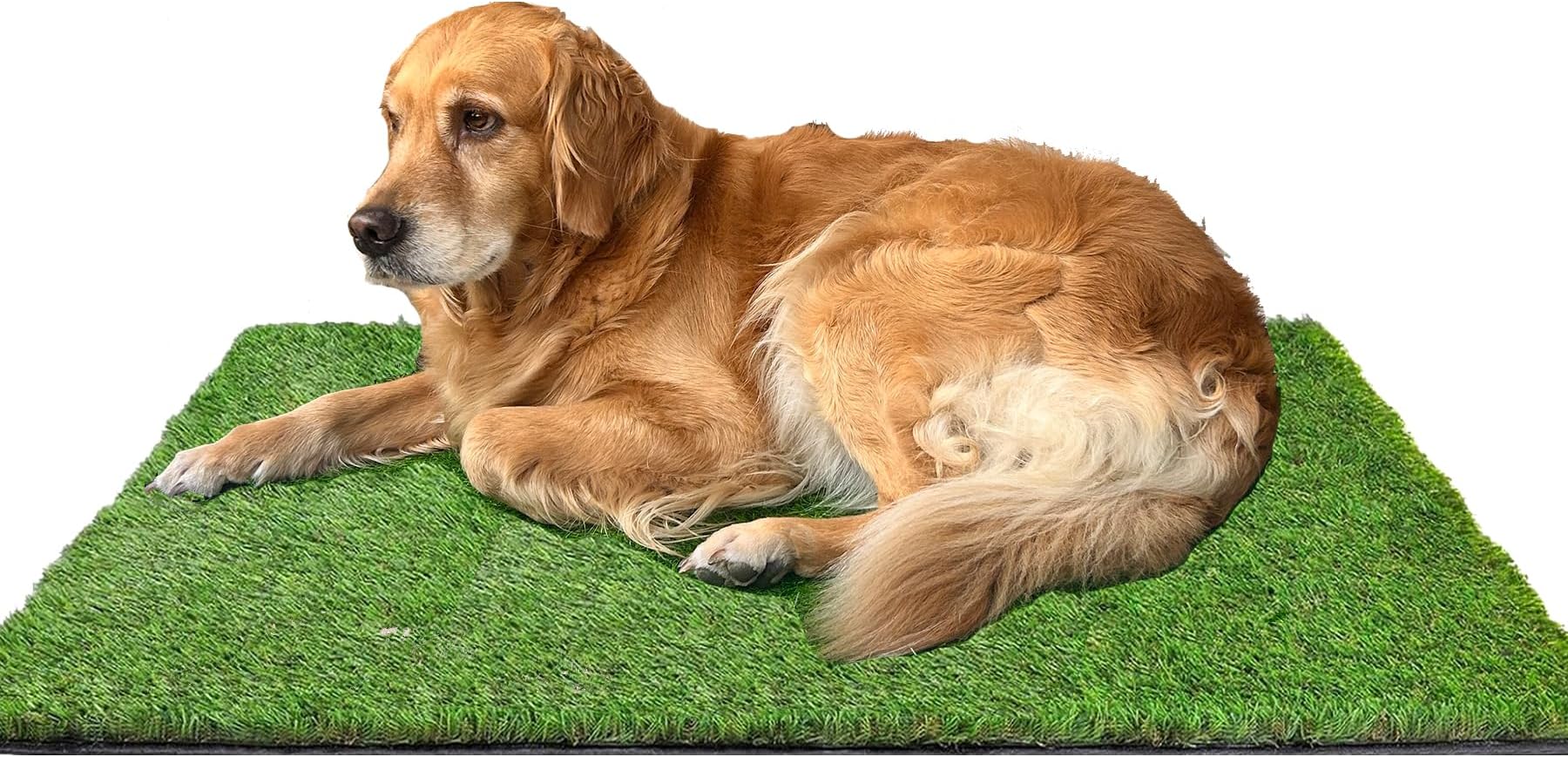 SHACOS Artificial Grass Pad for Dogs 20x25in Dog Pee Grass with Drainage Holes Potty