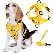 No Pull Dog Harness with Leash Set for                                 XL