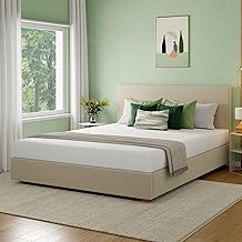 Dyonery Queen Mattress 10 Inch, CertiPUR-US Certified Green Tea Gel Memory Foam Mattress in a Box Fiberglass Free, 60"×80"×10", Medium
