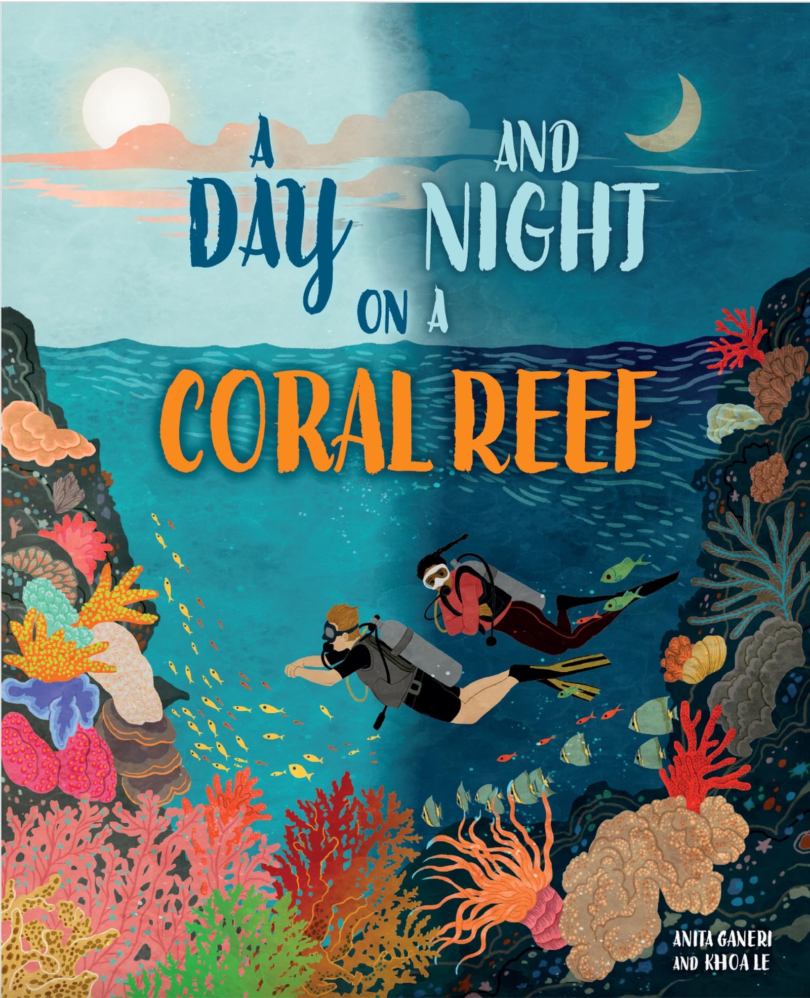 A Day And Night On A Coral Reef