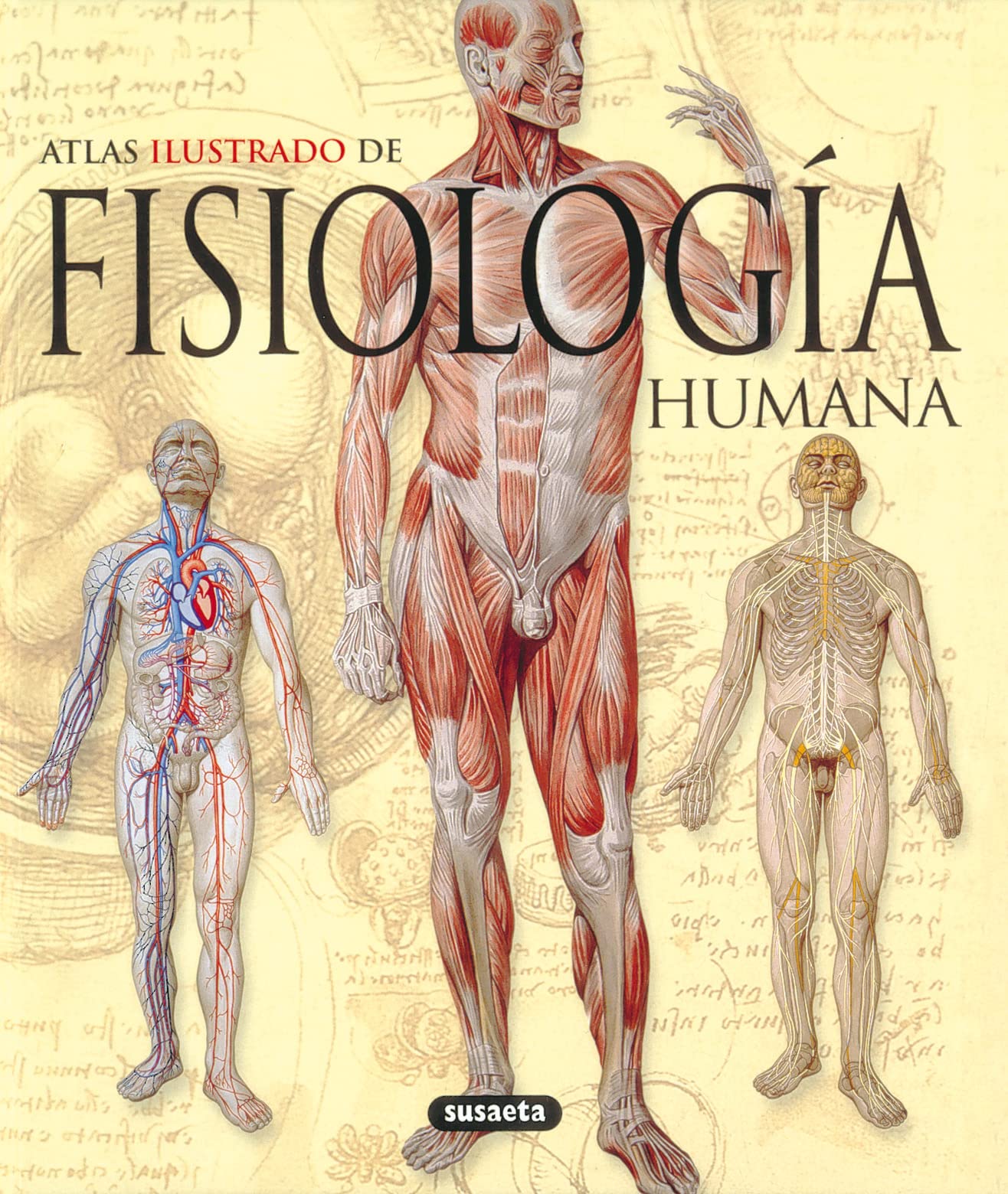 Atlas ilustrado de fisiologia humana/ Atlas of Human Physiology (Atlas Ilustrado/ Illustrated Atlas)