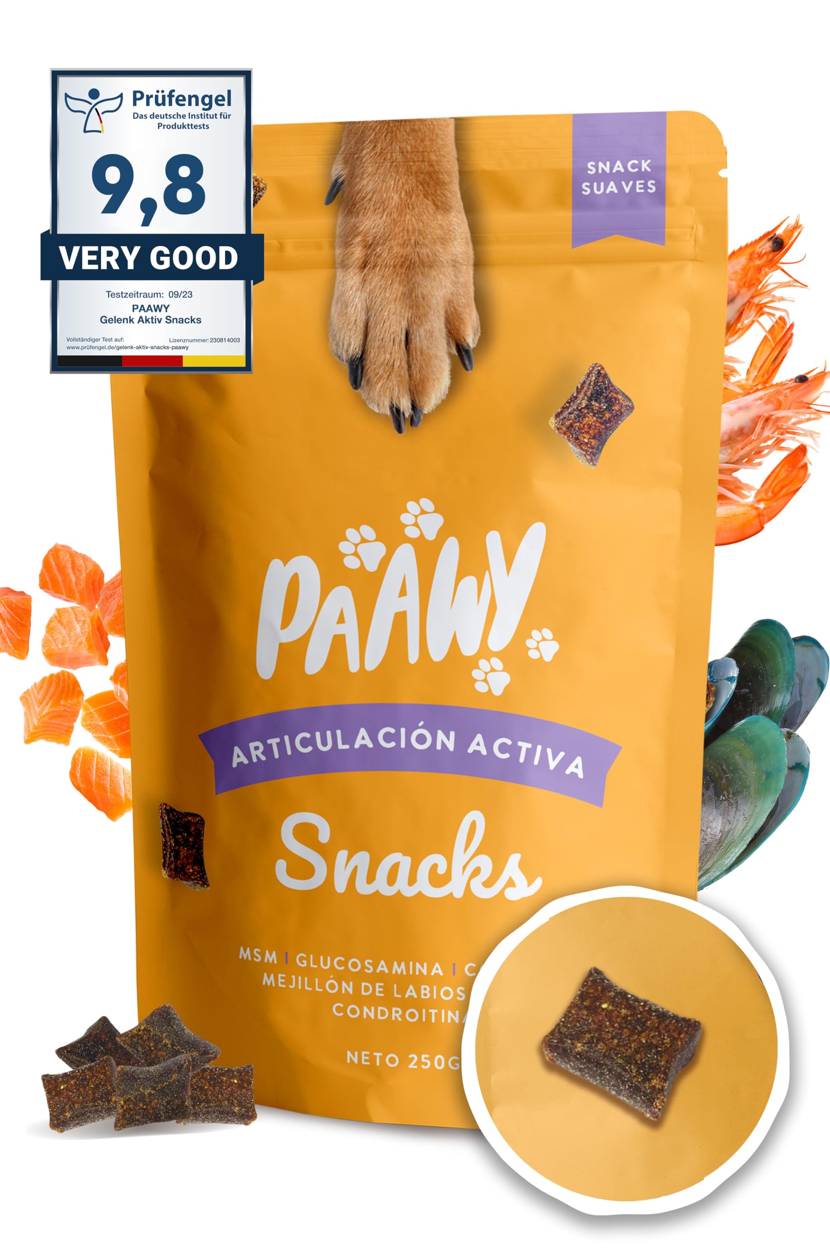 Paawy Condroprotector Perros con Glucosamina, Condroitina, MSM I para Las Articulaciones de Perros I Antiinflamatorio para Perros Artrosis I Joint Care for Dogs I 250g Salmón