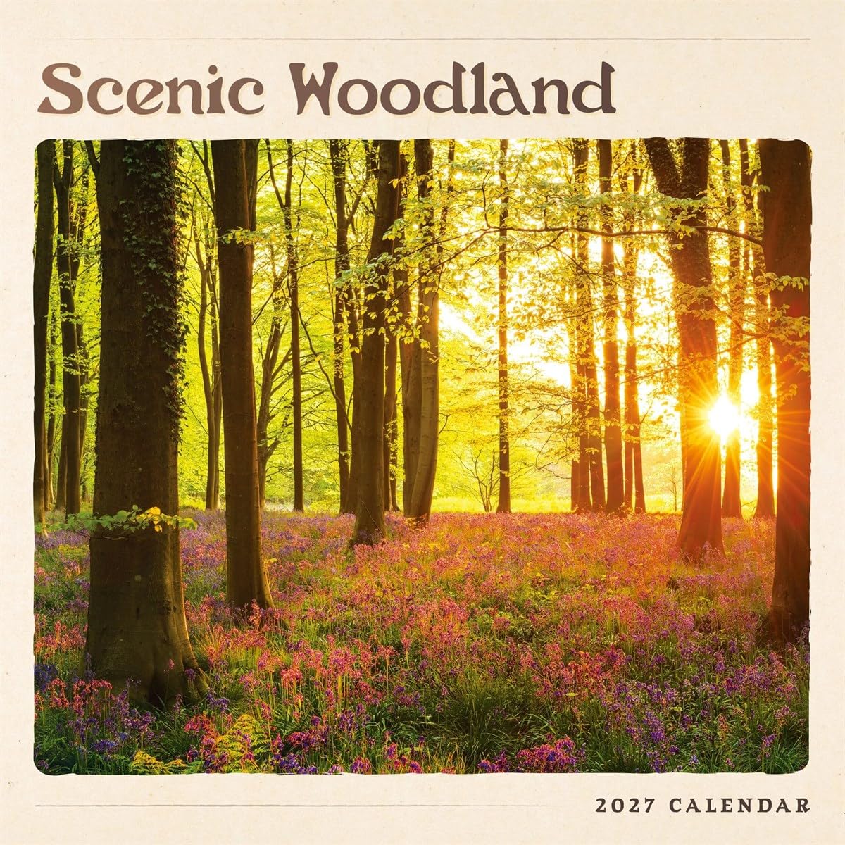 Carousel Worldwide Scenic Woodland 2027 Square Wall Calendar, 12-Month Calendar, Forest & Nature Photography