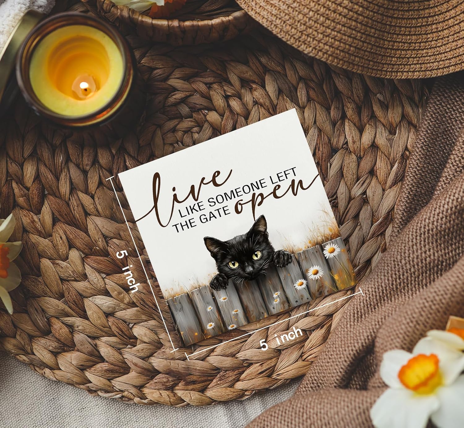 Black Cat Signs -Rustic Farmhouse Live Like Someone Left the Gate Open Signs for Home Decor, Farm Cottagecore Animal Office Kitchen Bedroom Decor, Black Cat Gifts for Women, 5x5 image 4