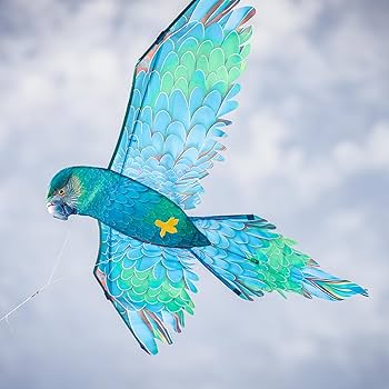 ハミングバード Yahoo!オークション - HUMMING BIRD ハミングバード ハミックス
