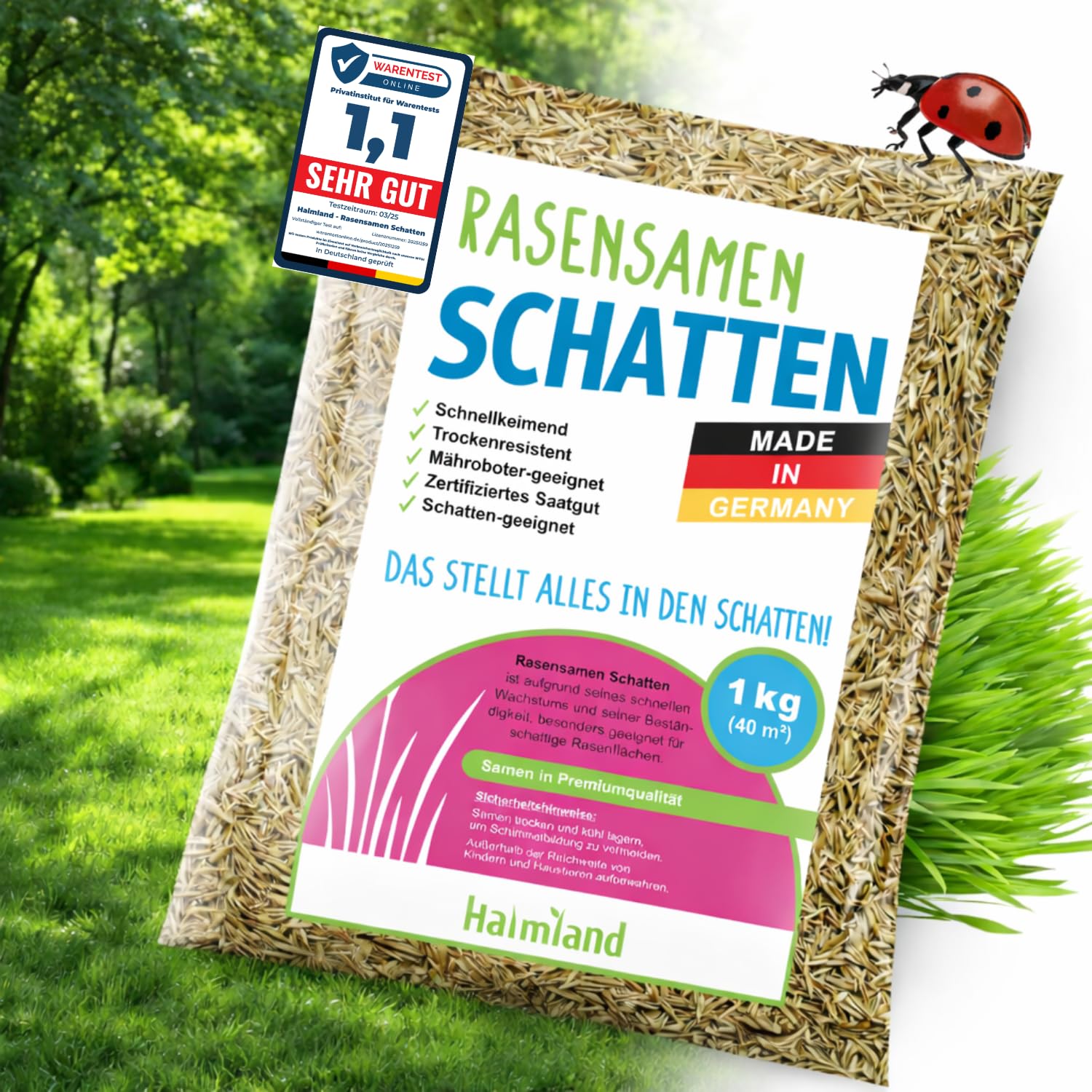 Schattenrasen Samen 1kg für 40m² hochwertige Rasensamen & Grassamen schnellkeimend Frühjahr für Rasen Nachsaat & dichte Rasensaat | SEHR GUT getestet inkl. Anleitung