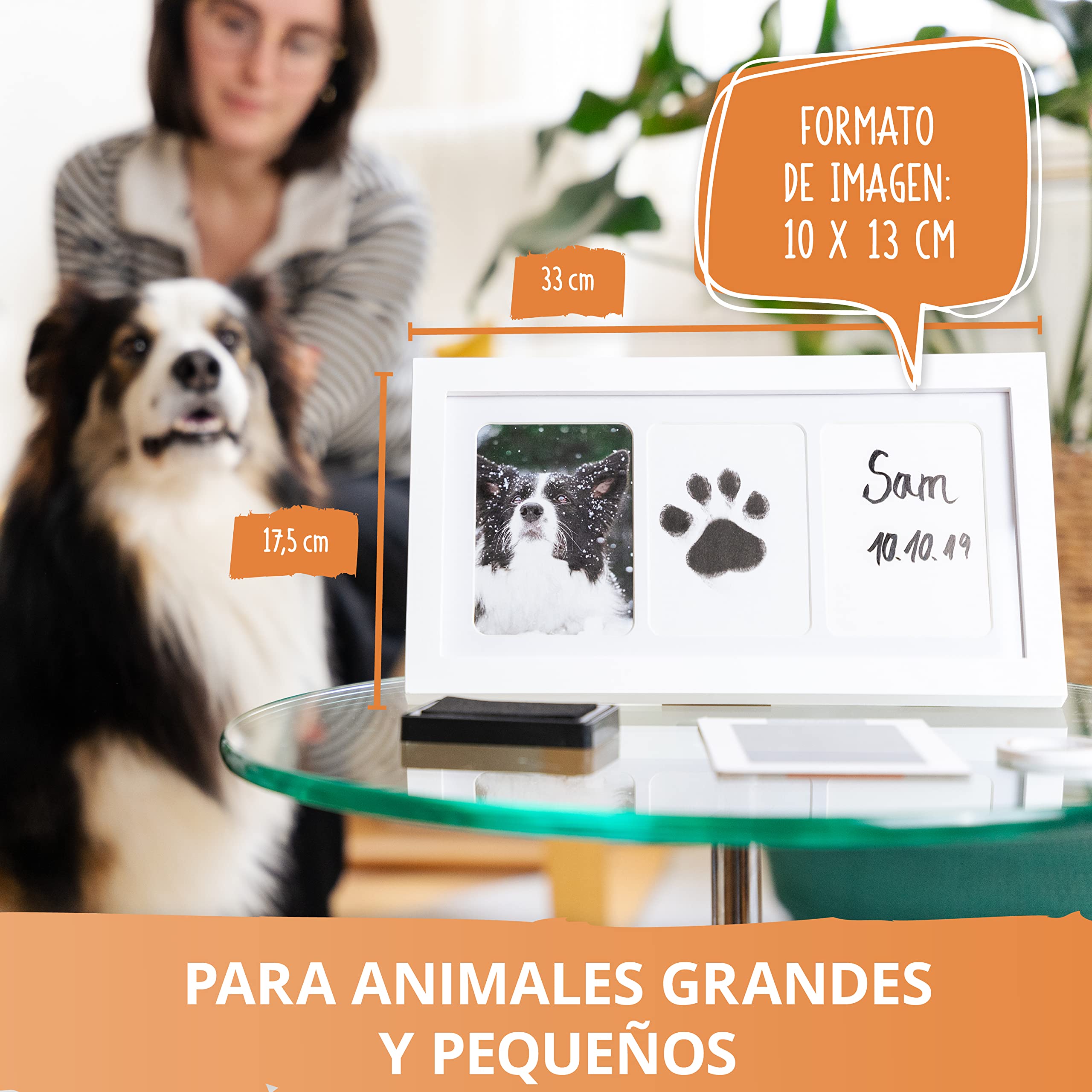 AMARI ® Kit de estampado de mascotas con 2 tampones y 4 tarjetas de estampado - huella perro - paw print stamp pad - kit impresión huella perro - sello huellas de perro con tinta