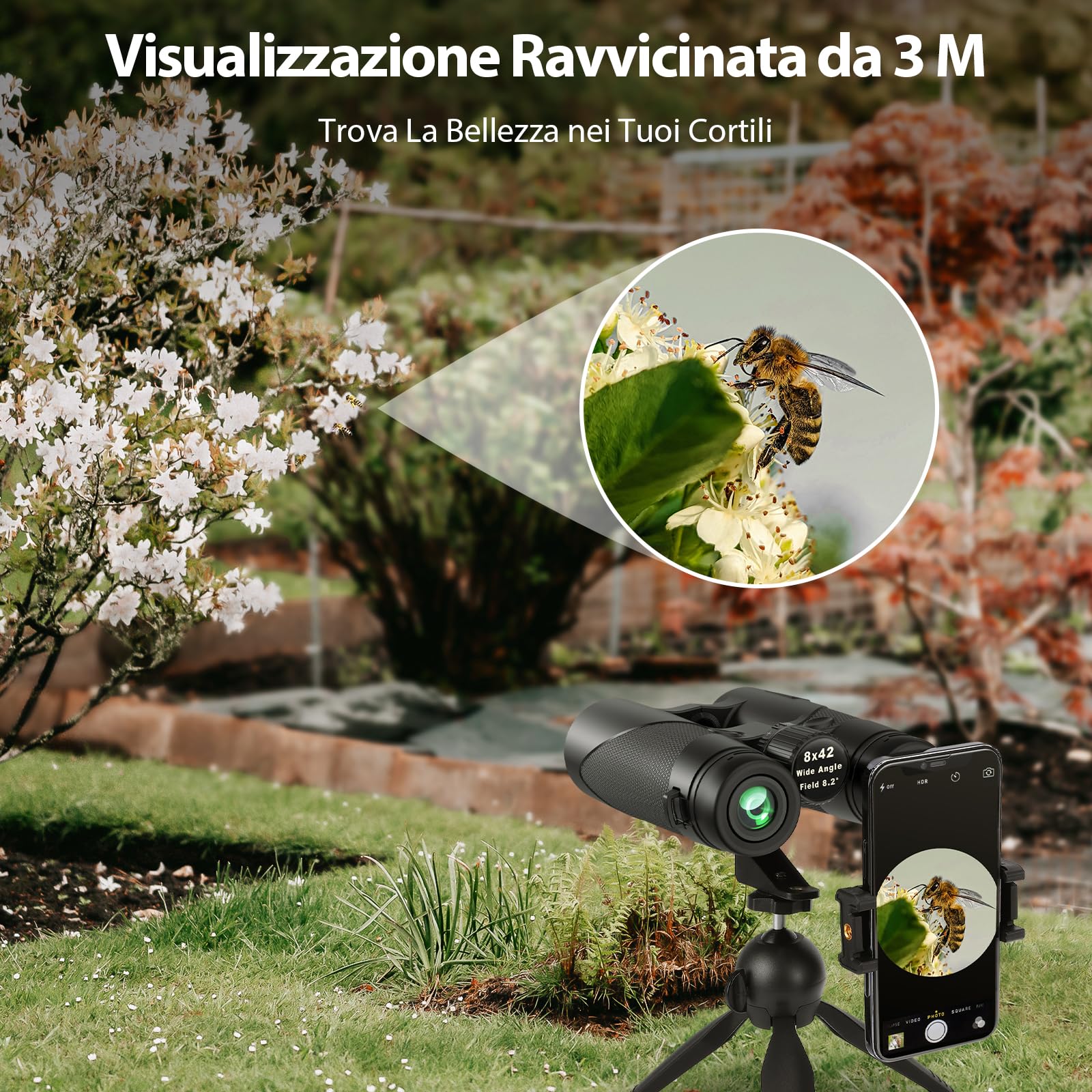 Binocolo Professionale Potente Compatto Safari: Timorn Binocoli 8x42 Visione Ampia Impermeabile con Treppiede Adattatore Telefono per Caccia, Birdwatching, Trekking, Escursionismo