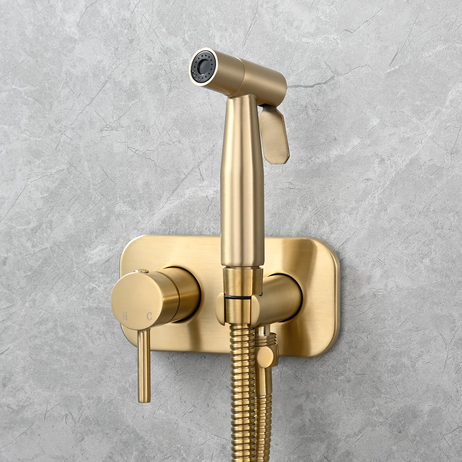 Tecmolog Acier Inoxydable Douchette WC Kit en Bidet Portable Tuyau de Douche Eau Chaude et Eau Froide Bidet Toilette Kit Complet, Or Brossé, WS024J2F2