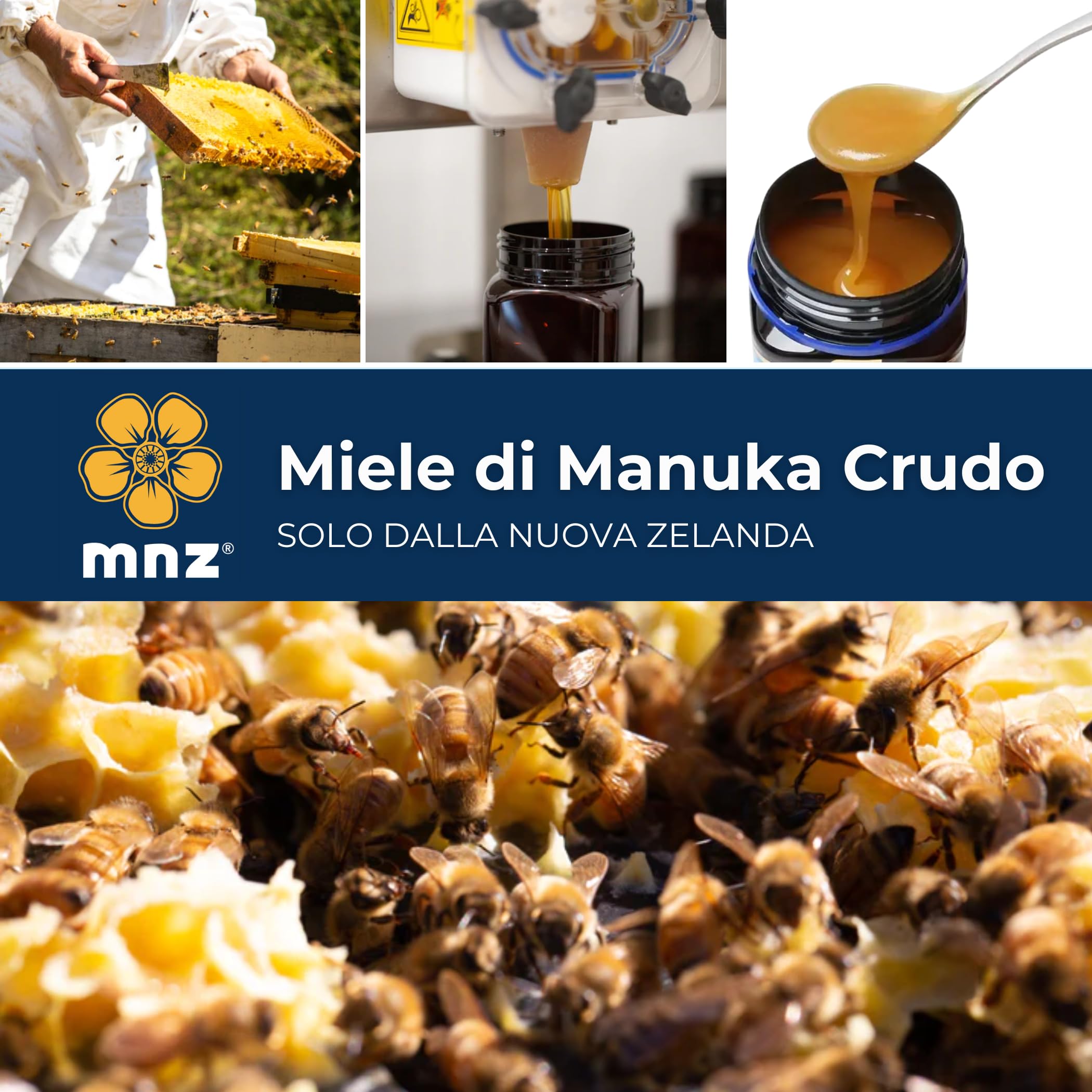 MNZ Miele di Manuka crudo 400+ MGO da 250 grammi, monofloreale puro, prodotto e invasettato crudo in Nuova Zelanda