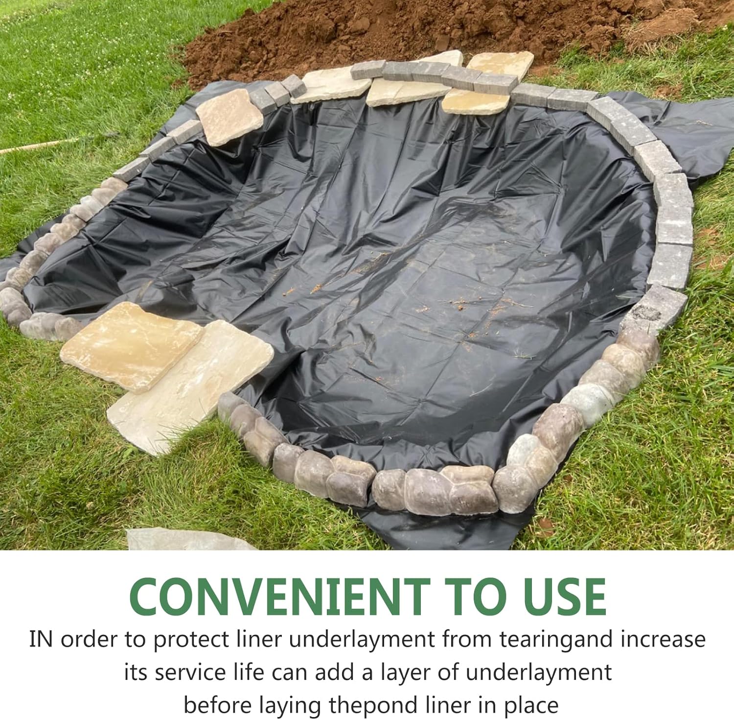 期間限定販売❗️》 『オトンナ カカリオイデス』 極美特大株 現地球