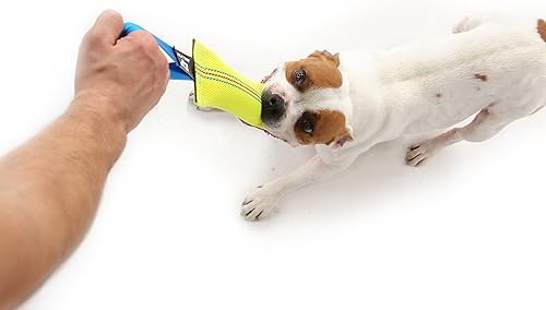 Miniatura 3 de Juguete de remolcador para mordeduras de perro de 10 pulgadas, duradero, juguetes interactivos para perros medianos a grandes, perfecto para tirar y