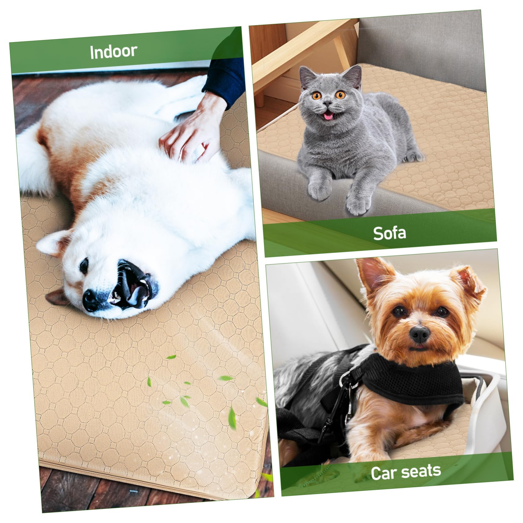 2pezzi Tappetini Igienici Assorbenti Lavabili Per Cani e Gatti Superficie Assorbente e Base Antiscivolo Per Addestramento e Comfort Degli Animali Domestici