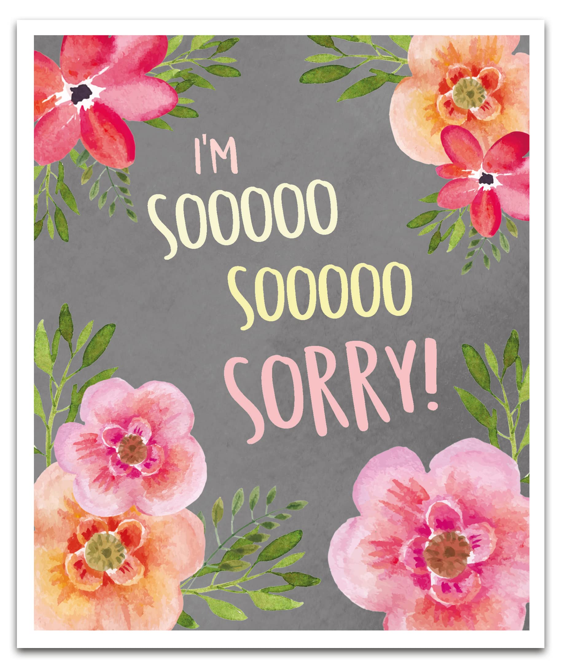 Emotional Rescue I'm Sorry Card, Apology Greeting Card, Card for Saying Sorry, Sorry Cards, Multicoloured, One Size, ZFW9353
