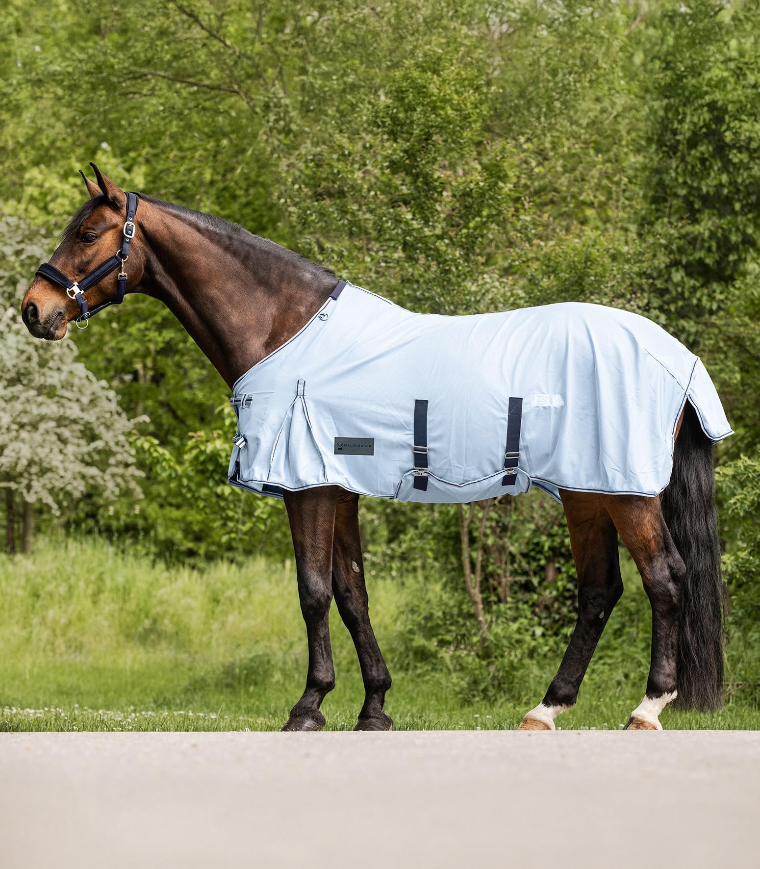 Waldhausen Manta antimoscas Protect con cinturón para el vientre, azul claro/azul oscuro, 115 cm