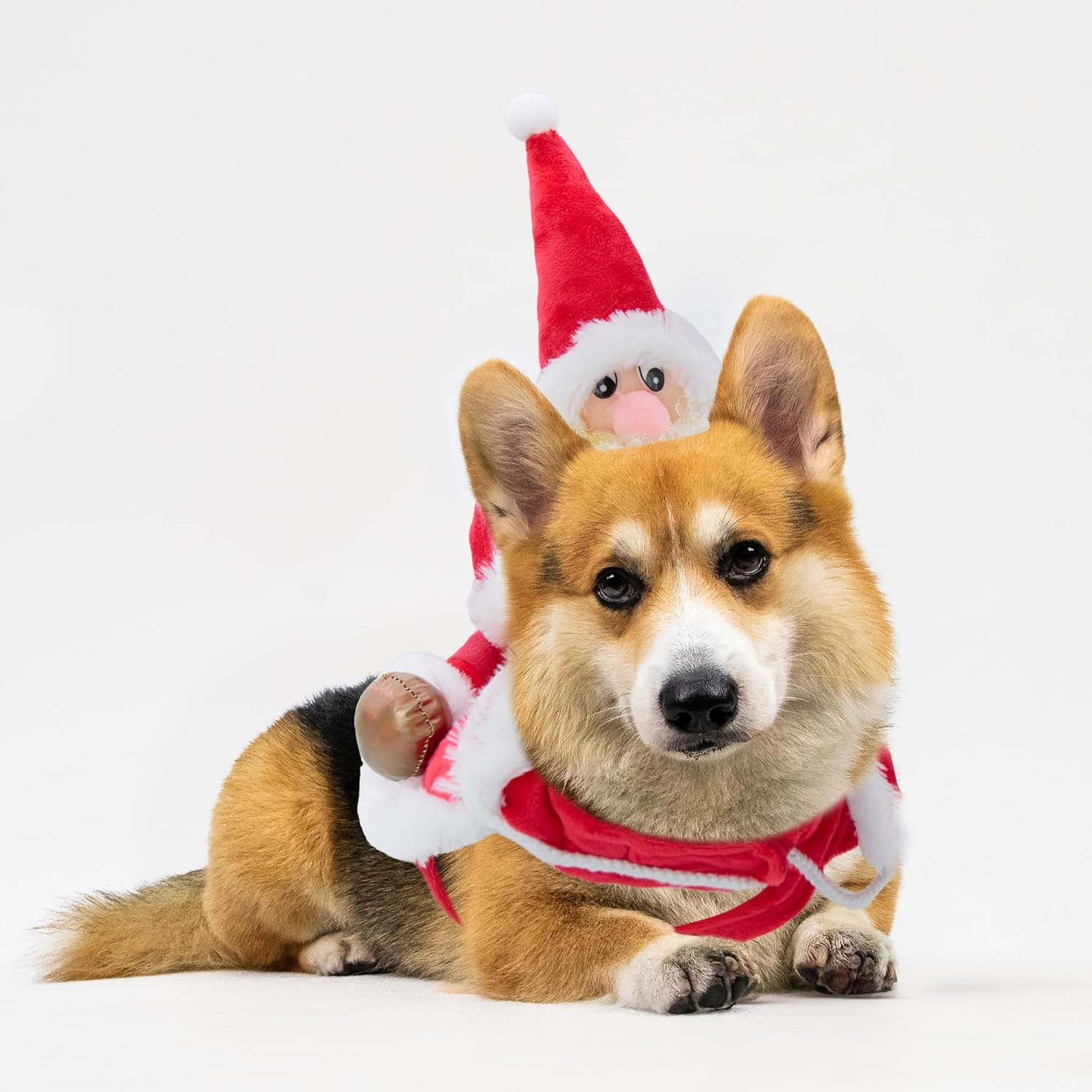 DELIFUR Santa Dog Costume Christmas Pet Clothes Santa Claus Riding Pet Cosplay Costumes Party Dressing up Dogs Cats Outfit for Small Medium Dogs (X-Large)