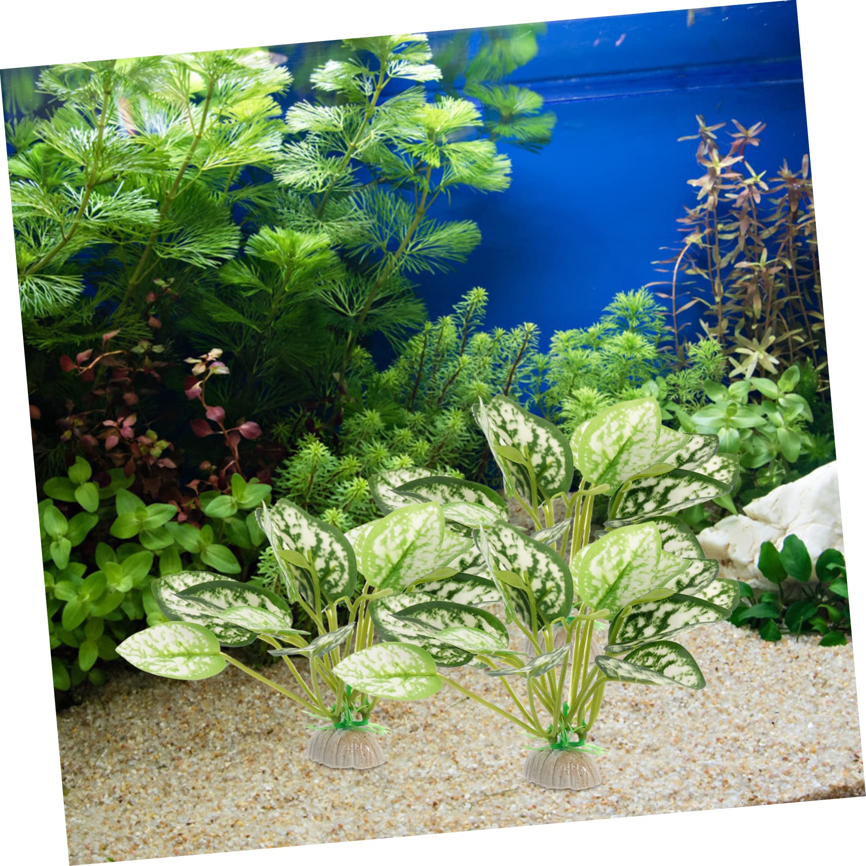 Sosoport 4 Sätze Aquarium Landschaftsbau Wasserpflanzen Dekorationen Für Aquarien Luft Teiche Kunstpflanze Wassergrasdekor Dekorative Aquariumpflanze Plastik Green 6 Stück * 4
