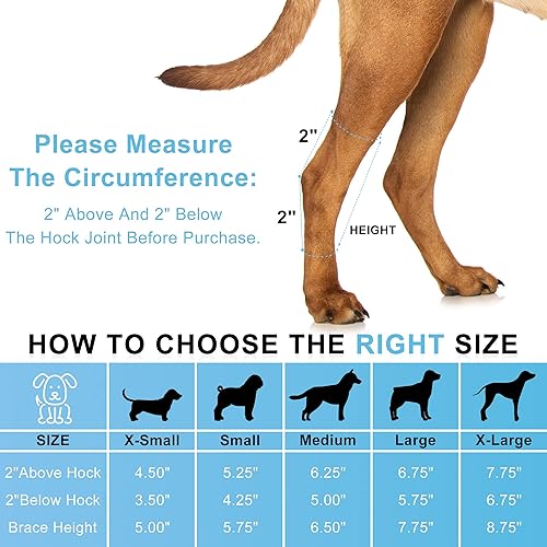 Miniatura 3 de OPSELU Soporte de cornejo de pierna trasera para perro, soporte para patas traseras con tiras de metal, evita lesiones y lamiendo heridas, mantiene