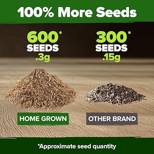 Miniatura 3 de HOME GROWN Semillas de diente de león para plantar 600 semillas de hierbas medicinales tradicionales ( 0.01 oz). Cultiva hojas y flores comestibles