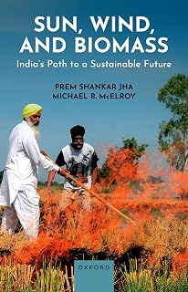 Sun, Wind, and Biomass: India's Path to a Sustainable Future