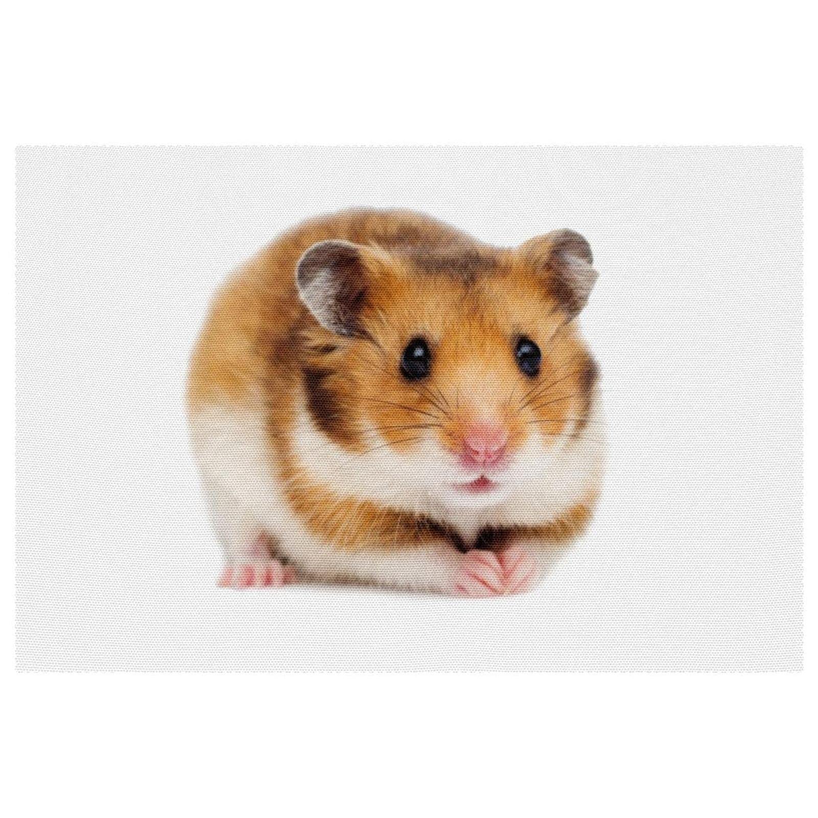 Set de table hamster lot de 6 dessous de plat mignon pour décoration de table