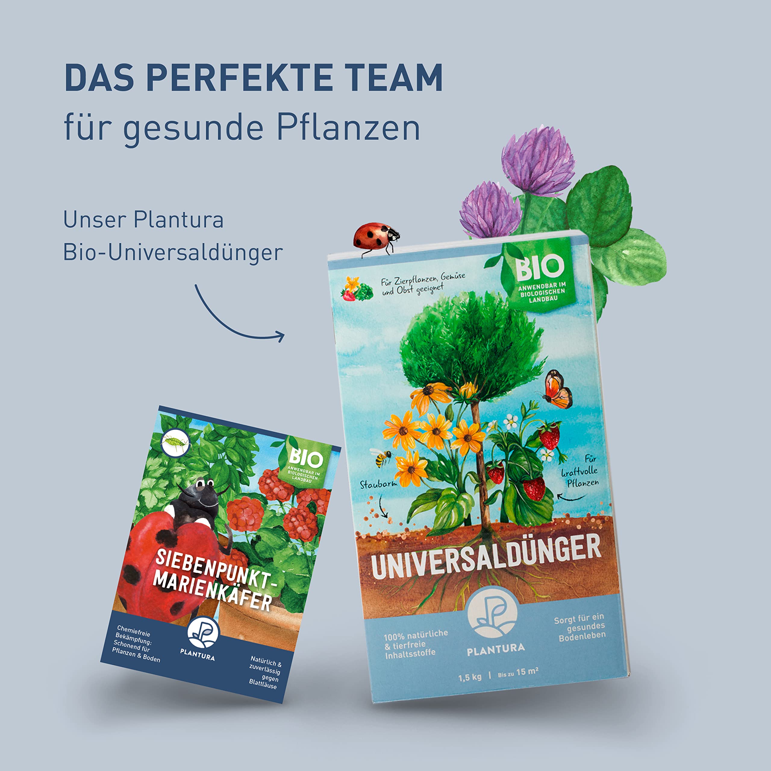 Plantura Siebenpunkt-Marienkäfer gegen Blattläuse, wirksam & nachhaltig, 10 Nützlinge
