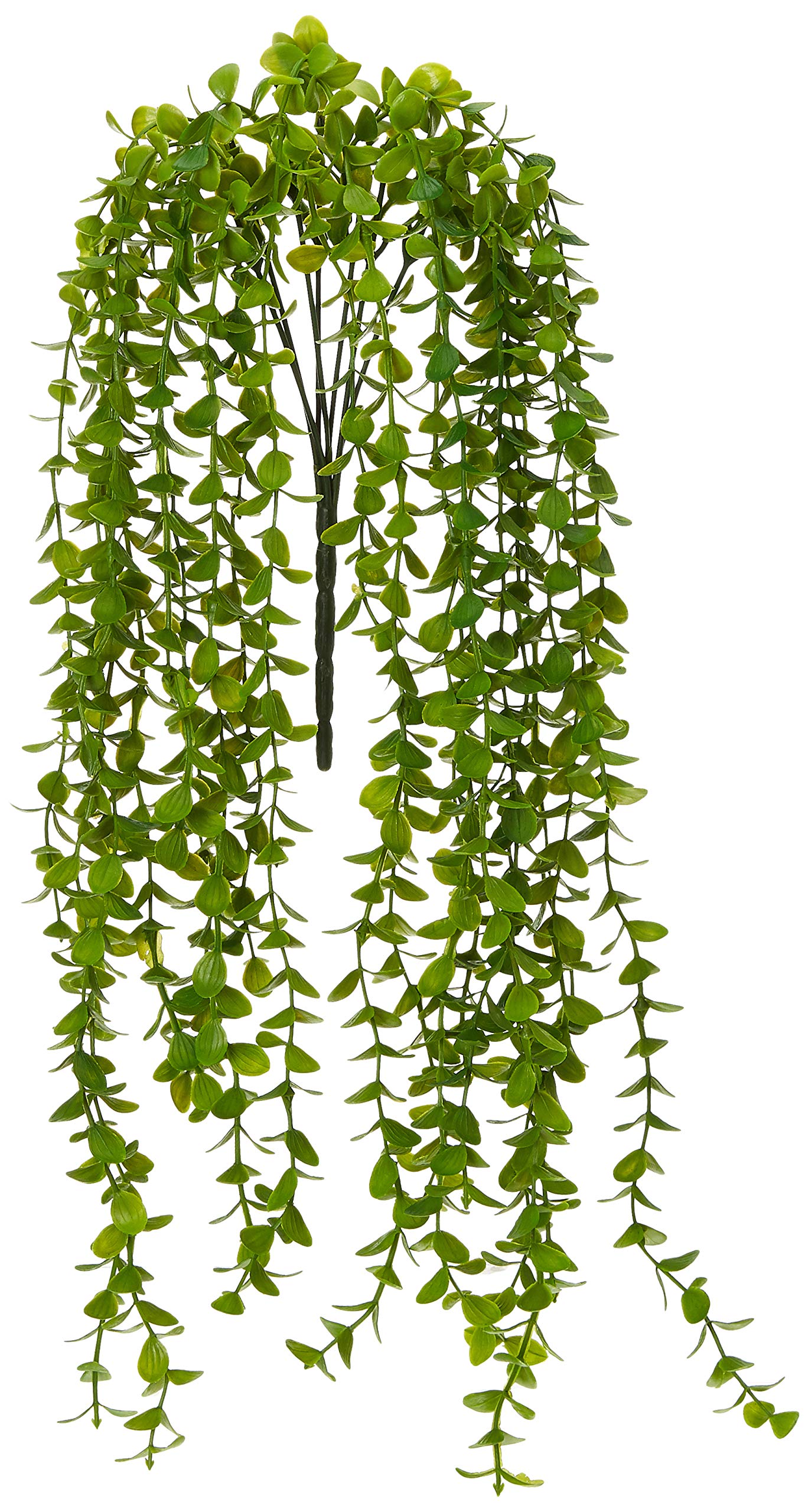 See full amazon price history chart for Fourwalls Artificial Eucalyptus Hanging Green Plants Creeper for Home, Wedding Décor(70 cm Tall, Dark Green) Fourwalls Artificial Eucalyptus Hanging Green Plants Creeper for Home, Wedding Décor(70 cm Tall, Dark Green) (B07PZXP758) Amazon Price History, Amazon Price Tracker