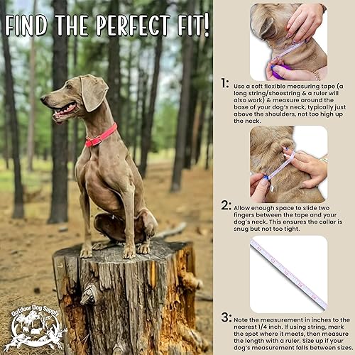 Miniatura 3 de Collar de perro con anillo en D impermeable reflectante resistente de 1 pulgada para perros medianos y grandes con placa de identificación de latón