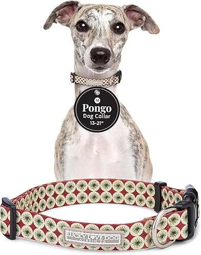 Miniatura 9 de Lucky Love Dog - Collar de perro ajustable con hebilla de fácil clic para pequeños a grandes, duradero y cómodo para perros machos y hembras, collar