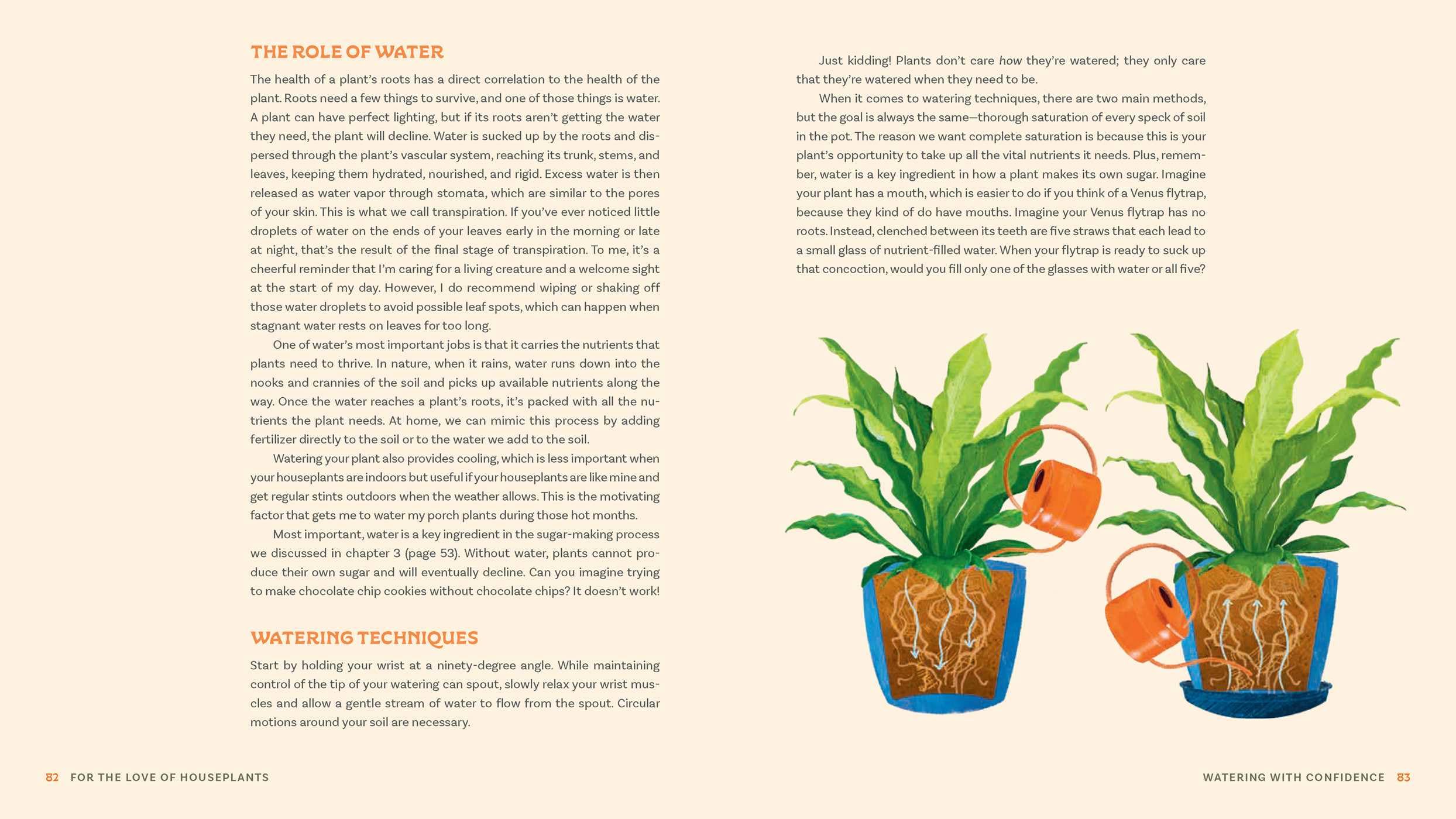 For the Love of Houseplants: Caring for & Keeping Plants with Confidence