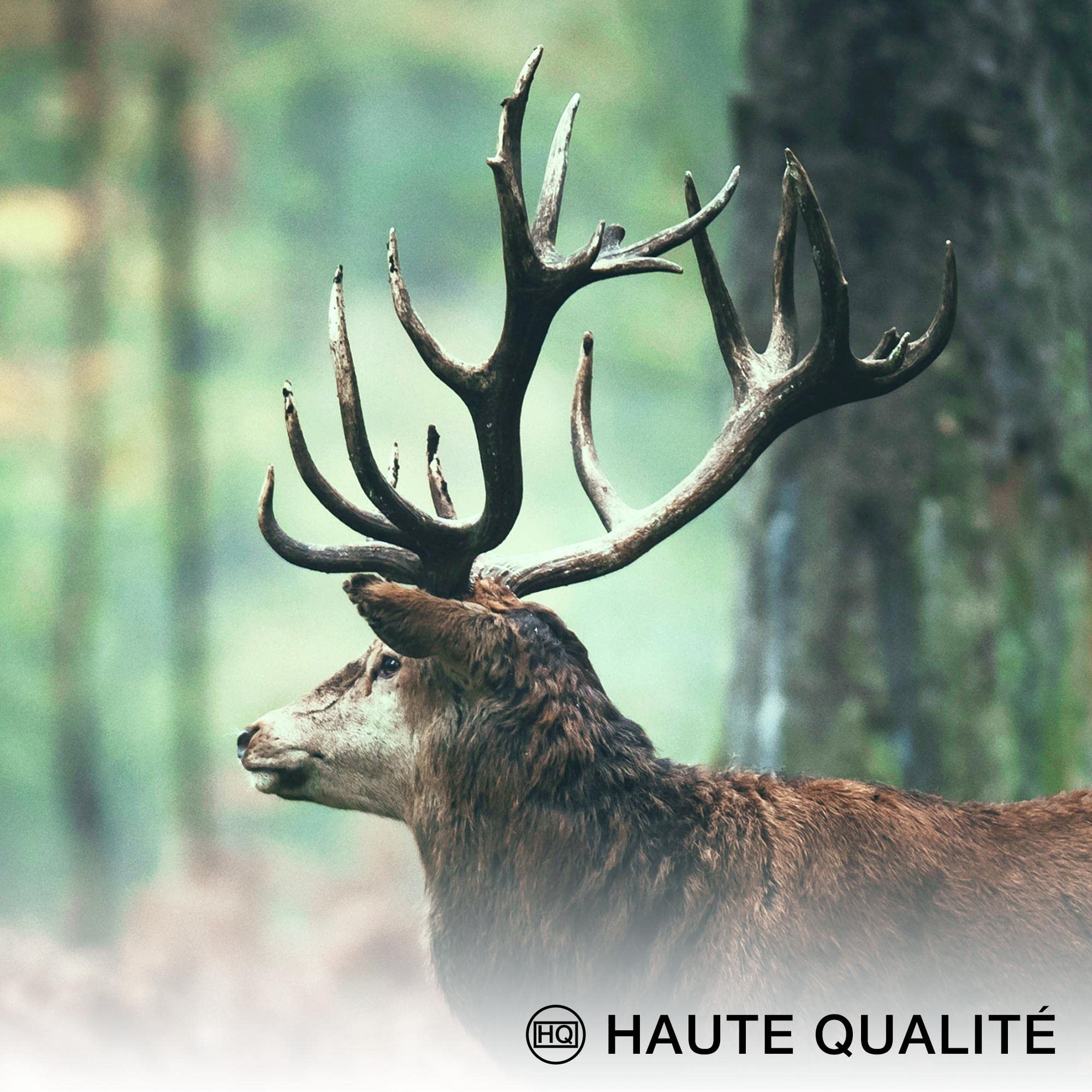 Novart- Tableau Décoration Murale- Wald Hirsch- Decoration Chambre Salon- Prêt à être Accroché- 7 Cadres de 30x40 & 20x30 cm- Vert- N004671a