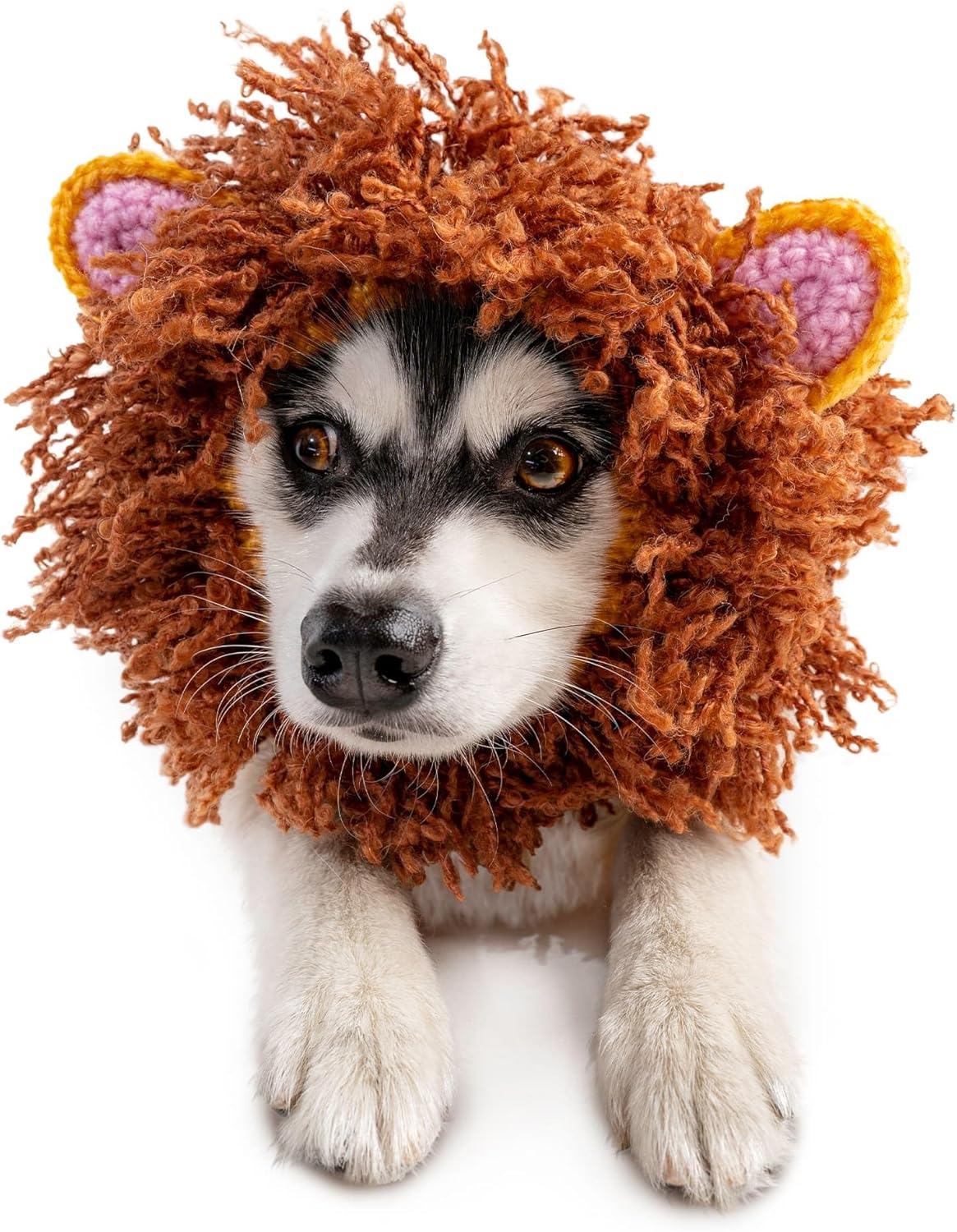 Zoo Snoods Lion Costume - Knit Mane Dog Snood Ear Wrap for Pets, Warm Neck Cover for Halloween and Winter (Medium)