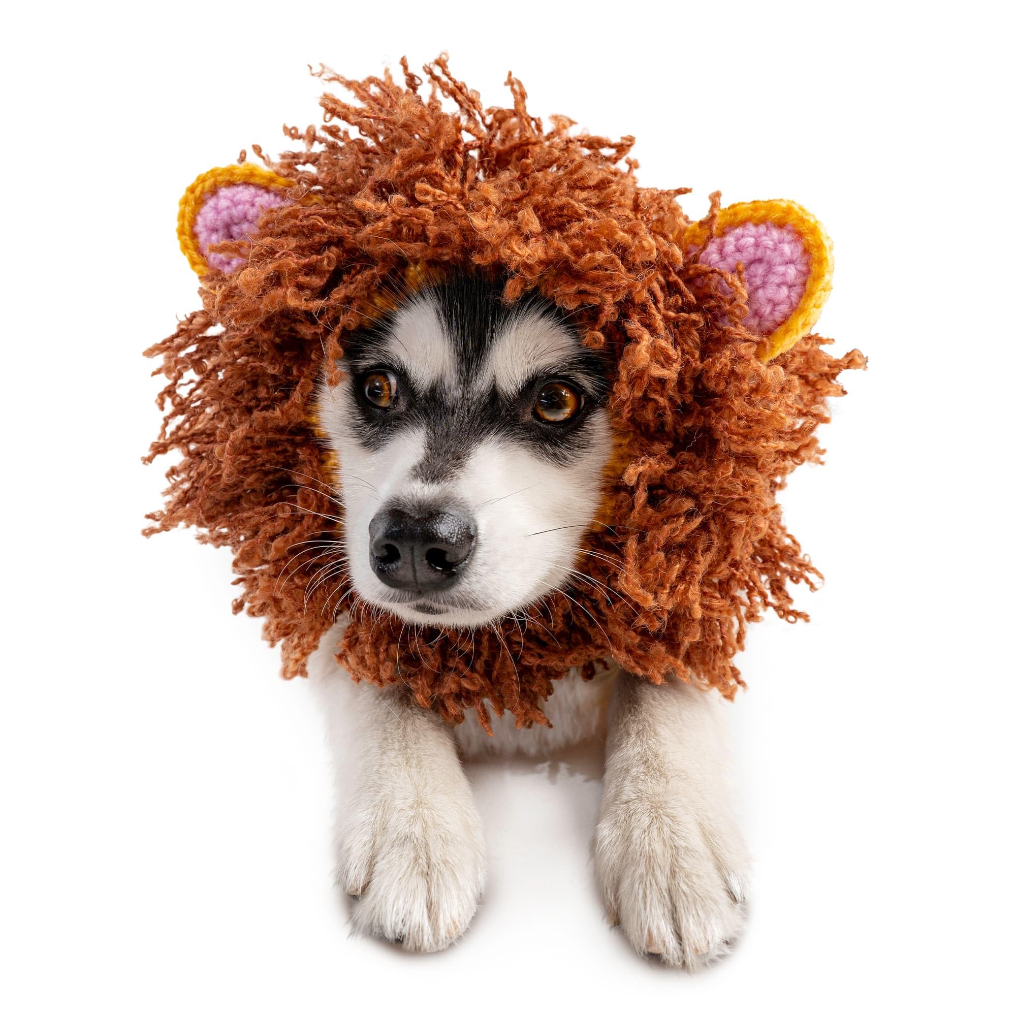 Zoo Snoods Lion Costume Knit Mane Dog Snood Ear Wrap