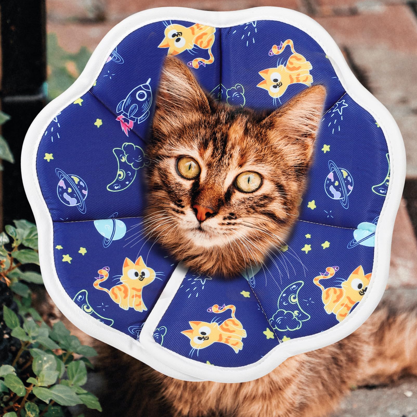 YARNOW 5 Pezzi Di Collare Per Gatti Con Cono Morbido Alternativo Per Gattini Sicuro E Delicato Per Luso