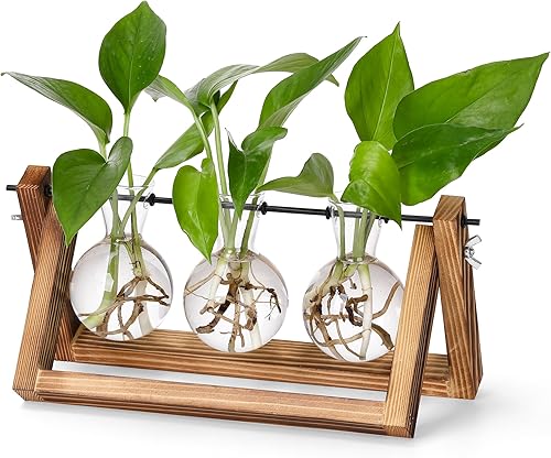 YIBOT Estaciones de propagación de plantas, terrario de plantas de escritorio con soporte de madera retro, regalos para amantes de las plantas para