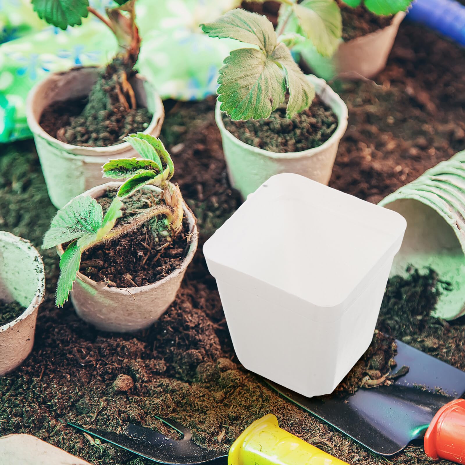 Lot de 100 Pots Carrés en Plastique Blanc avec Drainage Godets de Semis pour Plantes D’Intérieur et Extérieur Pots de Culture Compacts pour Jardinage Rempotage et Réutilisable