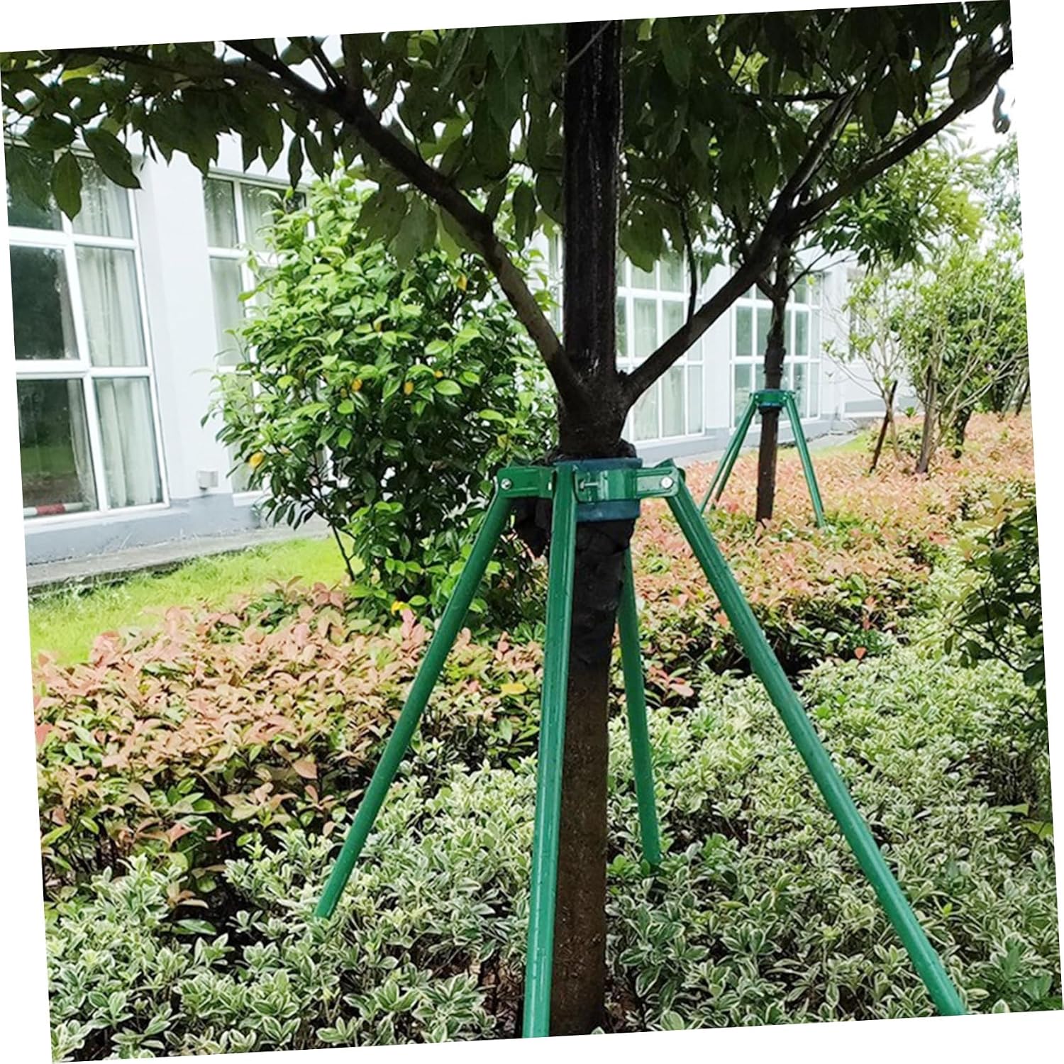 BESPORTBLE Tree Supportive Rack Iron Metal Tree Fixing Tool for Tree Trunk image 5