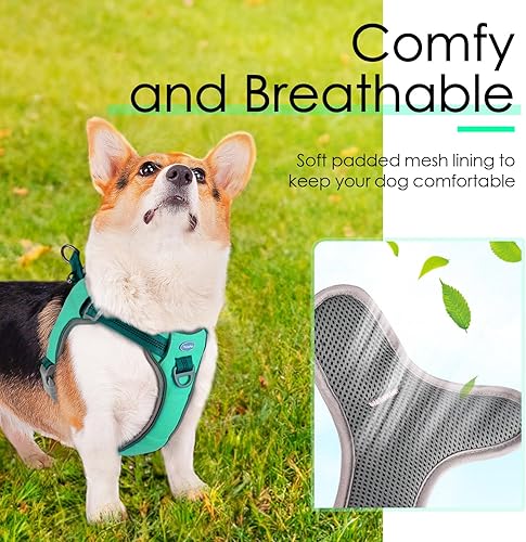 Miniatura 5 de ThinkPet Dog Harness for Medium Dogs No Pull, Escape Proof Step-in Reflective Dog Vest Adjustable Breathable Halter Harness with BackFront Clip for