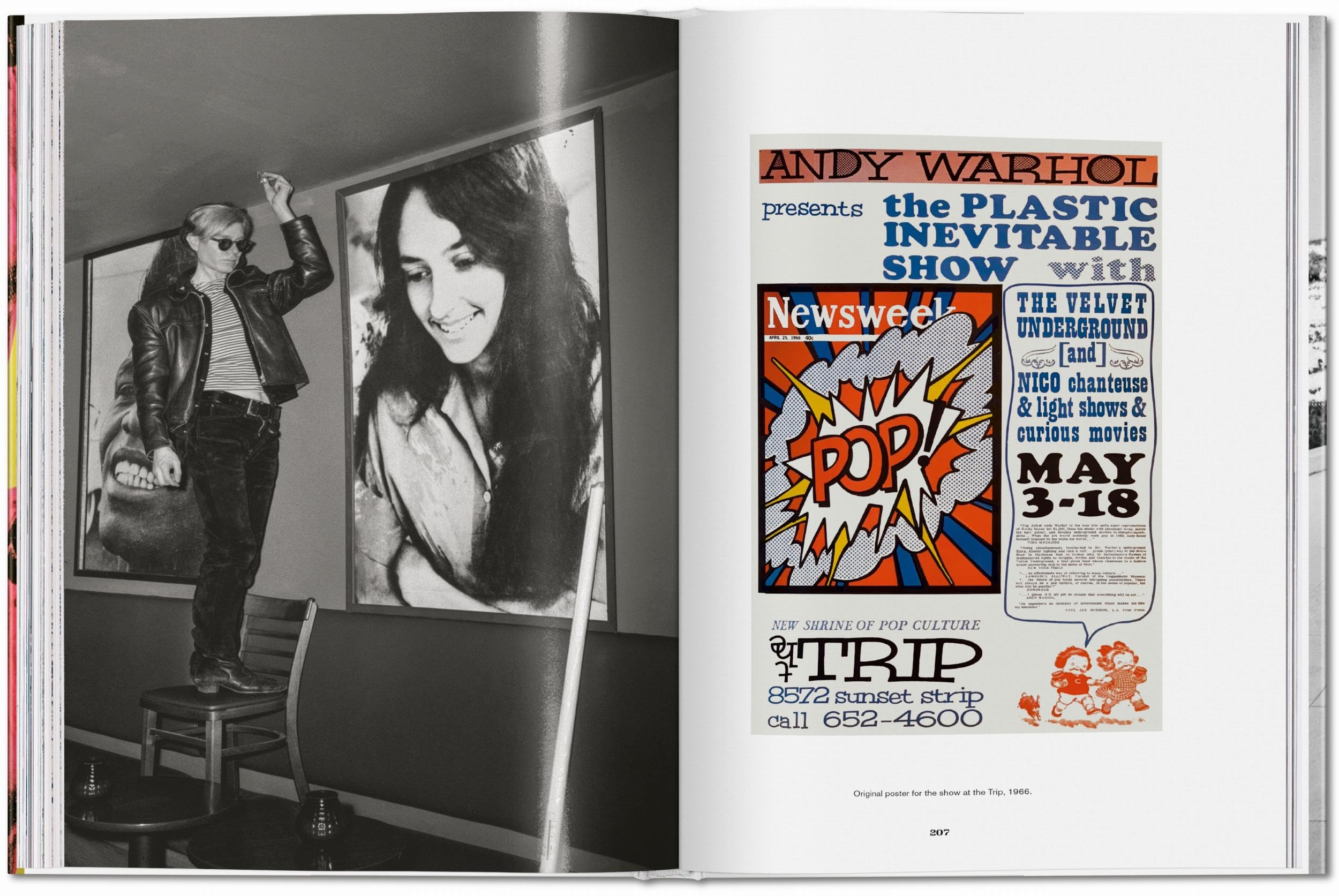 Steve Schapiro. Andy Warhol and Friends (Photography Book)