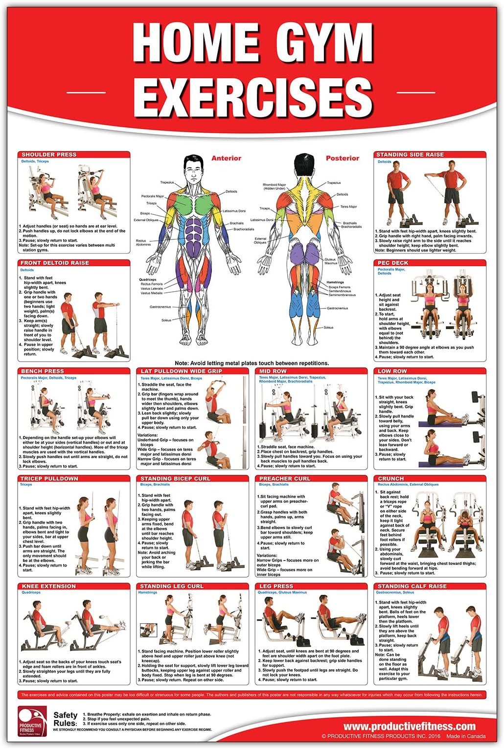 Home Gym Exercises Laminated Poster/Chart: Home Gym Chart, Home Gym Weight Lifting Routine, Weight Stack Gym Chart, BodySolid Gym Poster, Multi-Station Gym, Cable Gym, Pulley System Gym