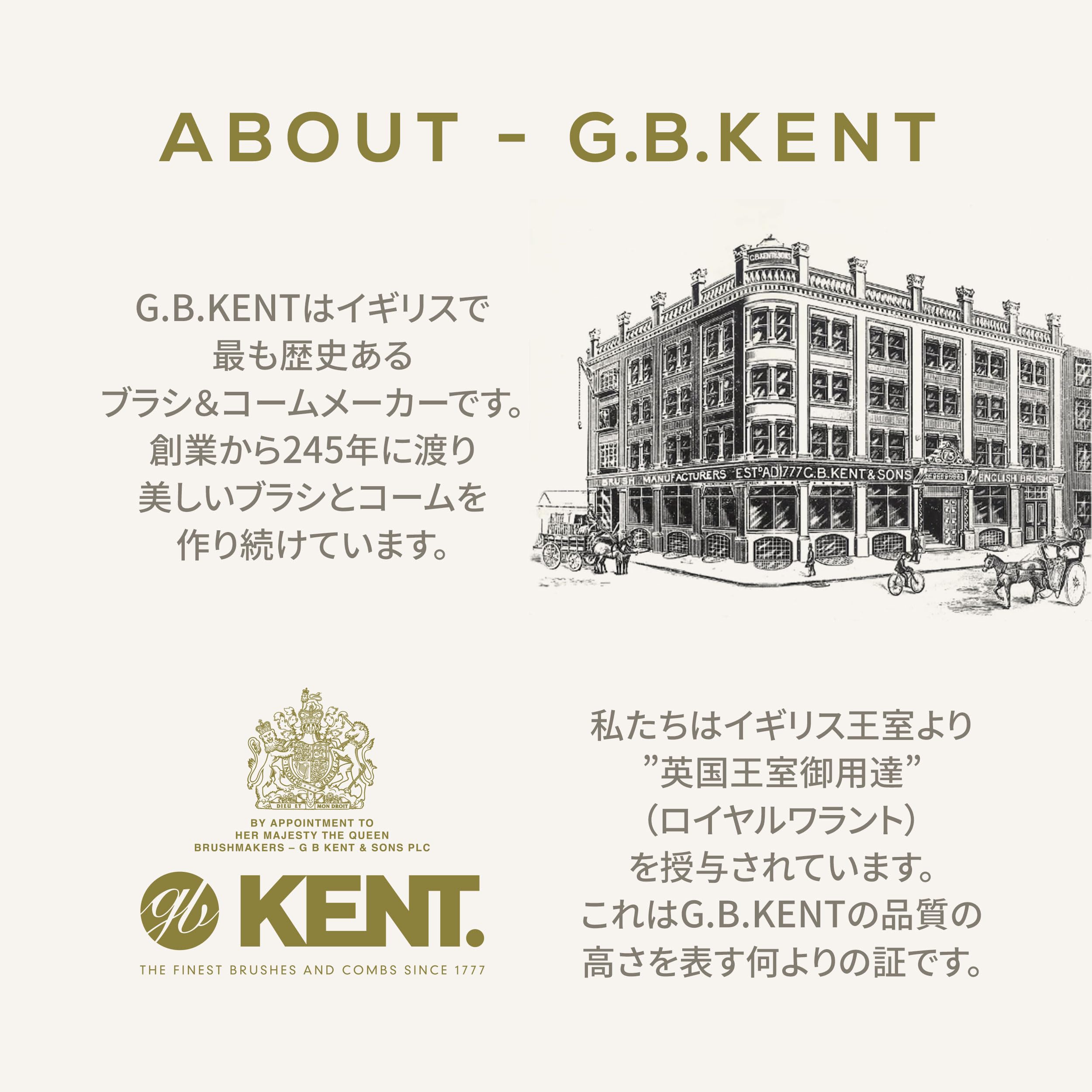 Amazon | G.B.KENT 24kゴールドピン スカルプマッサージ クッション