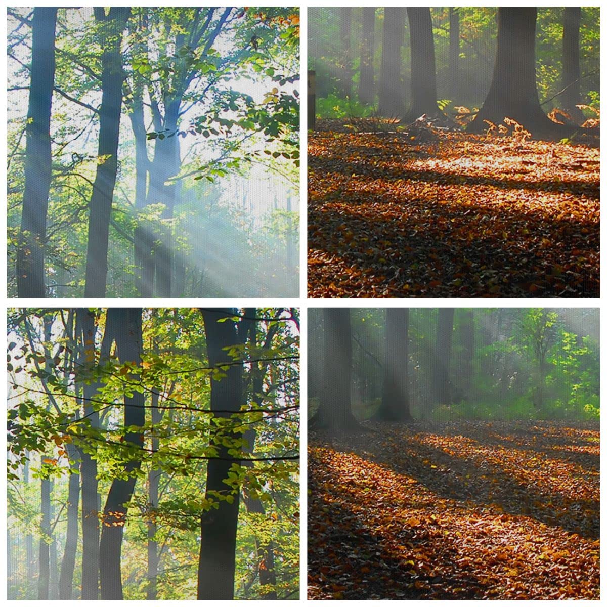 Cuadros Decoracion Salon Imitación Piedra Mármol Lienzos Decorativos 160x85cm Cuadro Sobre Lienzo Moderno Dormitorio Cuadros Pared Imágenes Tríptico 5 Piezas Wall Art Prints Grande XXL EA160x85-4366