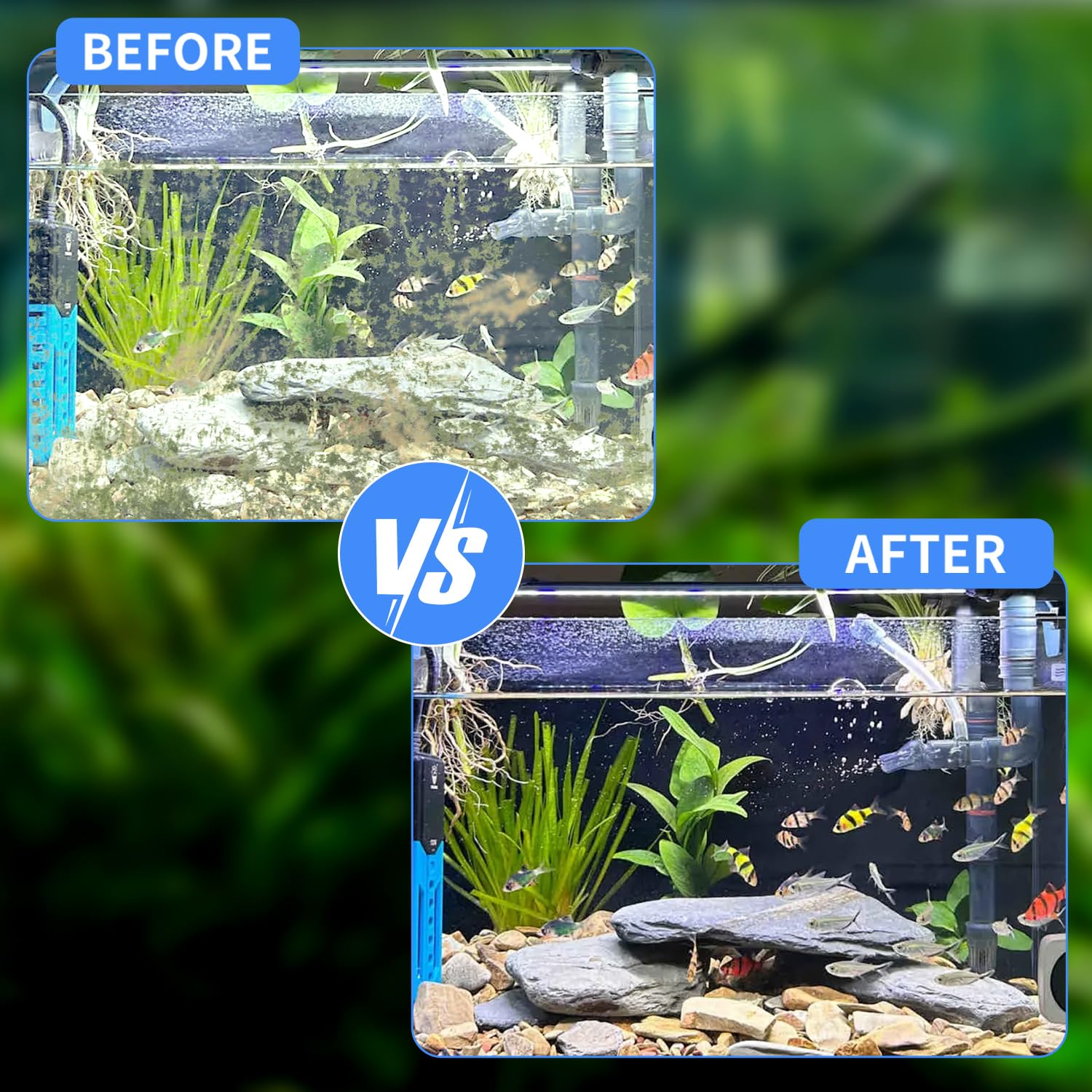 BlueYu Magnetic Aquarium Fish Tank Glass Cleaner, Floating Aquarium Magnetic Brush - Image 2