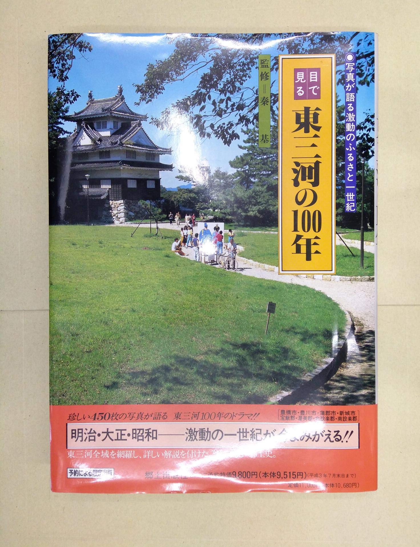 目で見る東三河の100年: 豊橋市・豊川市・蒲郡市・新城市・宝飯郡