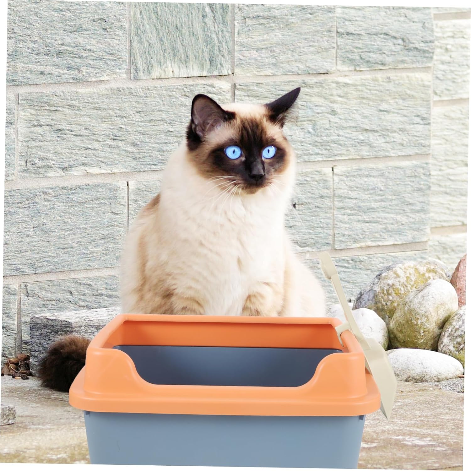 1set Semi-Enclosed Cat Litter Box for Indoor Use Low Entry Design for Easy Access Practical Convenient Kitten Toilet Space-Saving Cat Supply