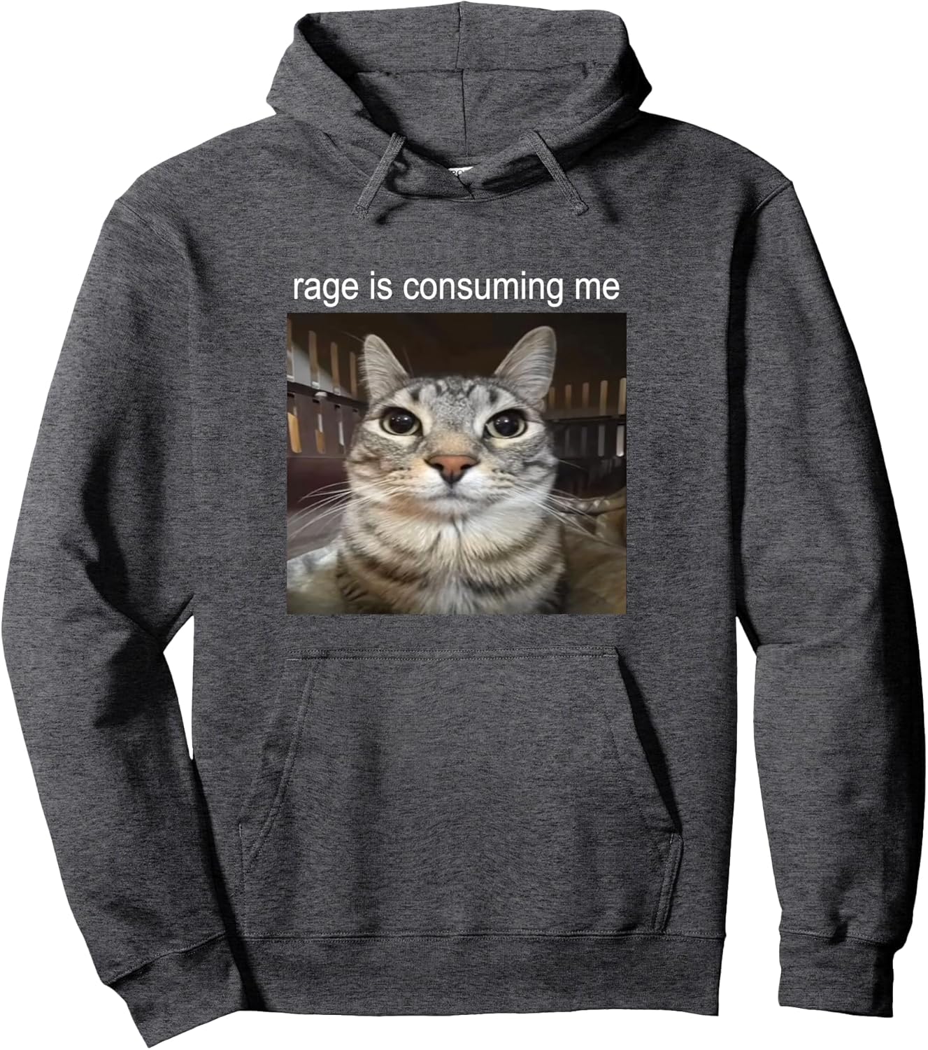 Rage Is Consuming Me Silly Staring Cat Meme Pullover Hoodie
