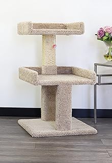 New Cat Condos Spacious Cat Perch for Large Cats