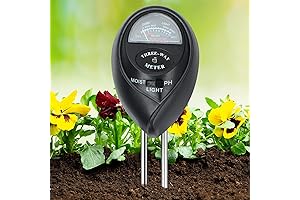 Flora Pod – The Ultimate AI Plant Care Assistant