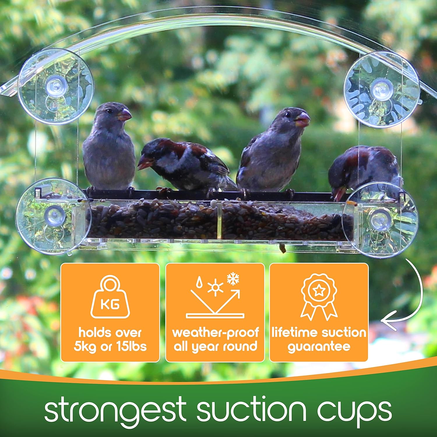 Window Bird Feeder with Strong Suction Cups - (Upgraded 2023 Version) Bird House Window Bird Feeders Window Clear Squirrel Proof Bird Feeders for Outdoors Hanging Window Mounted Bird Feeder : Patio, Lawn & Garden