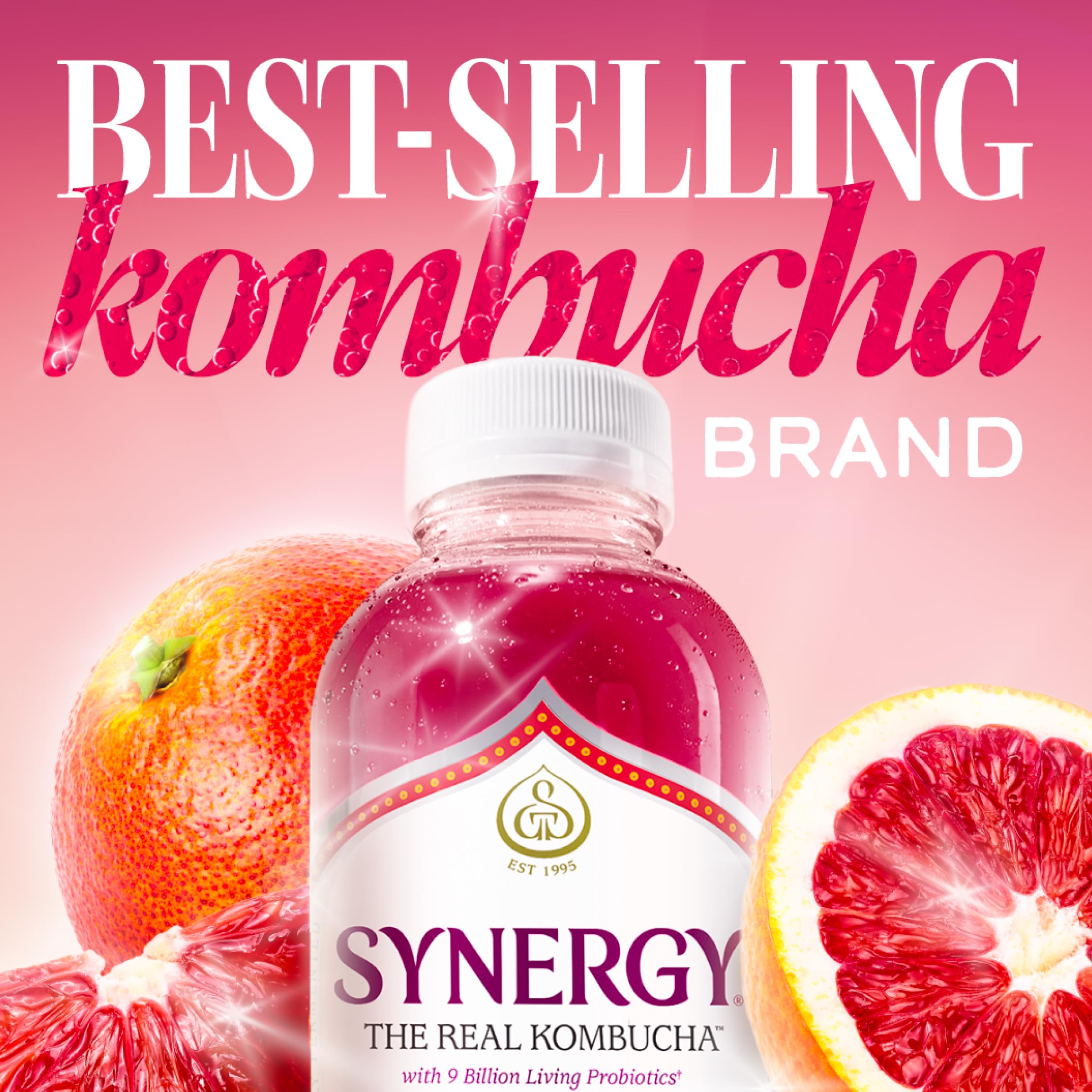 Amazon.com: SYNERGY The Real Kombucha - Blood Orange - 16 fl oz